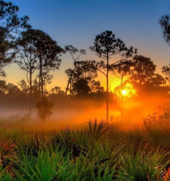 Guest Pass Payment River Ranch Property Owners Association